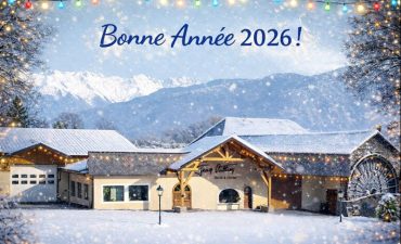 BONNE ANNEE 2026